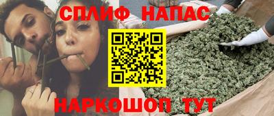 прущие грибы Лесосибирск