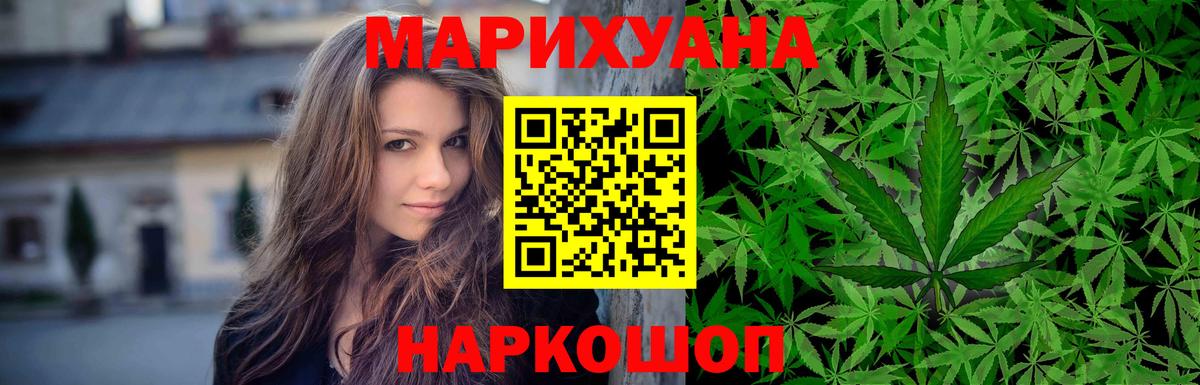 Бошки марихуана конопля Будённовск