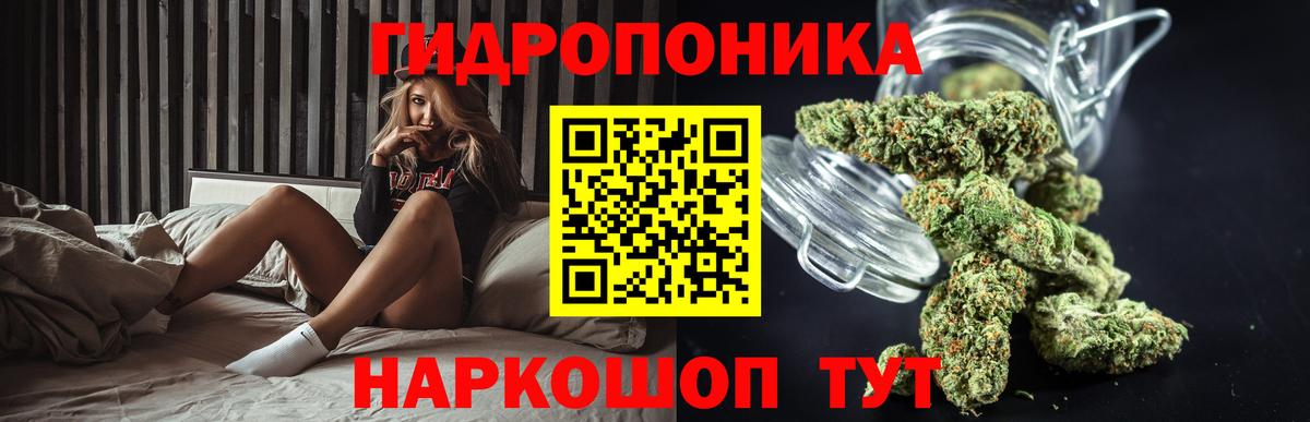 Шишки марихуана марихуана  Канабис ГИДРОПОН  Будённовск  Вход с VPN  Марихуана White Widow 